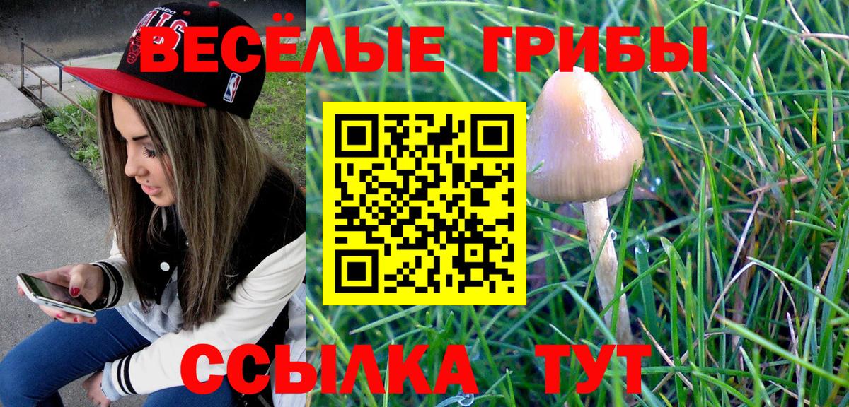 Псилоцибиновые грибы ЛСД Пыть-Ях